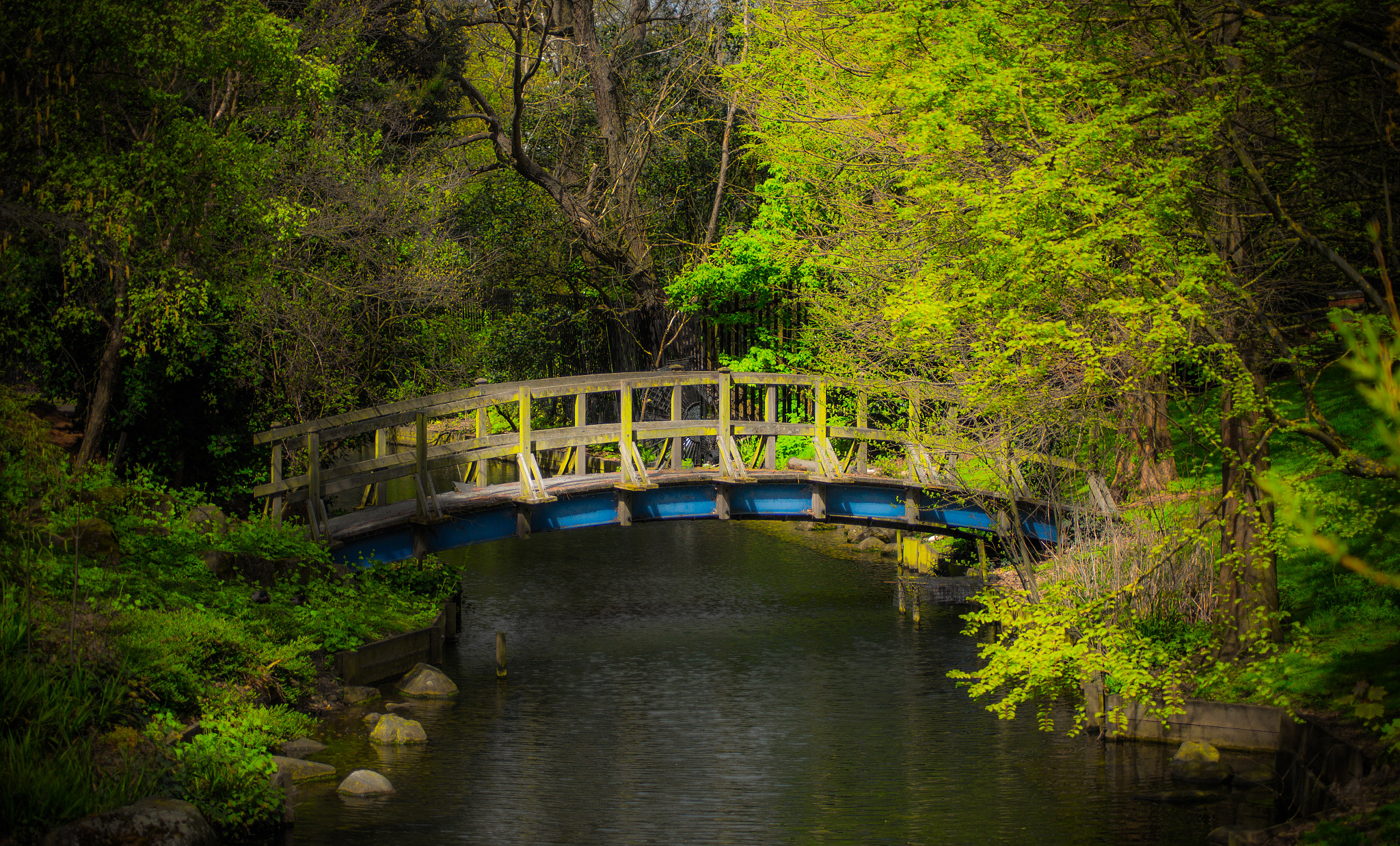 Tamron AF 55-200mm F4-5.6 Di II LD Macro sample photo. I think this is nice place - london - prk photography