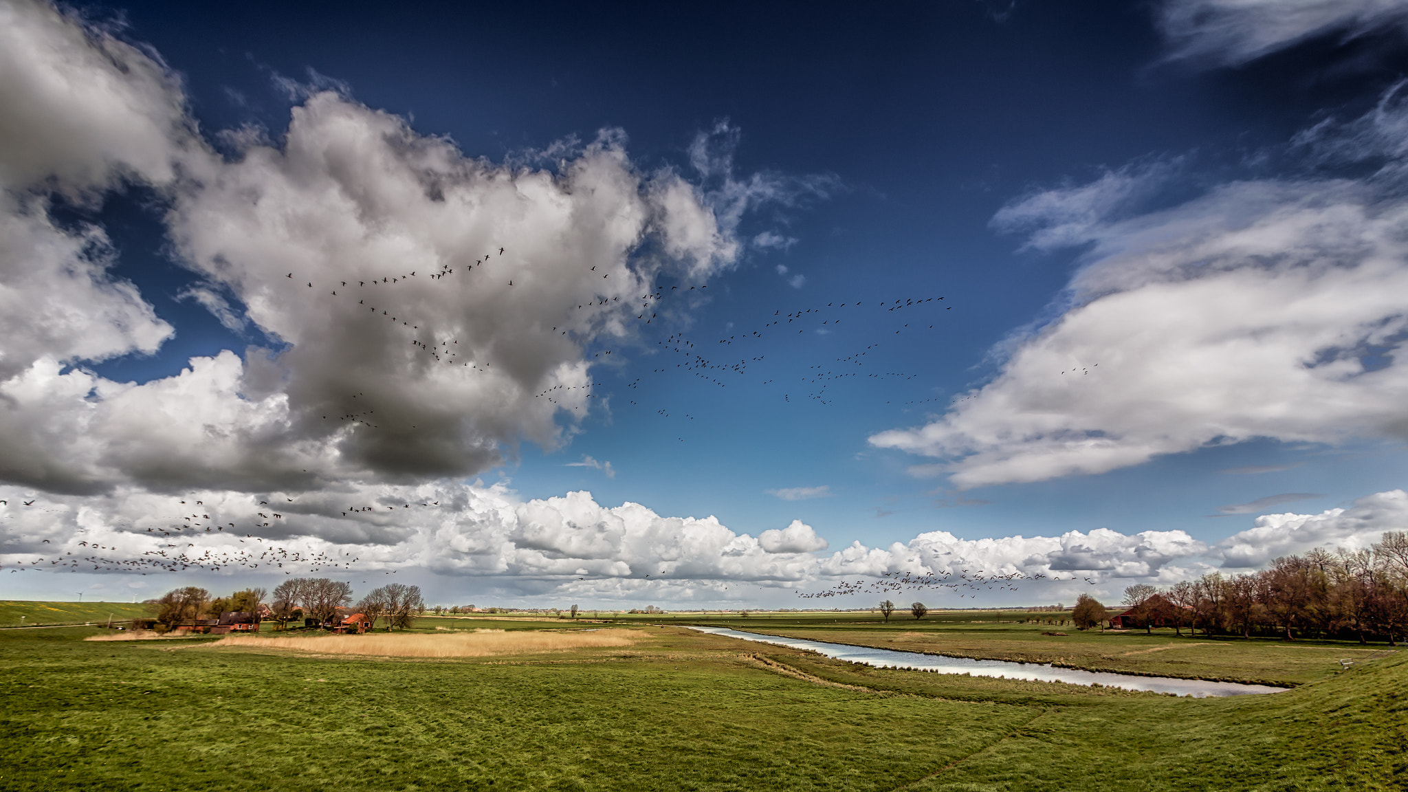 Sigma 15-30mm f/3.5-4.5 EX DG Aspherical sample photo. Birds track photography