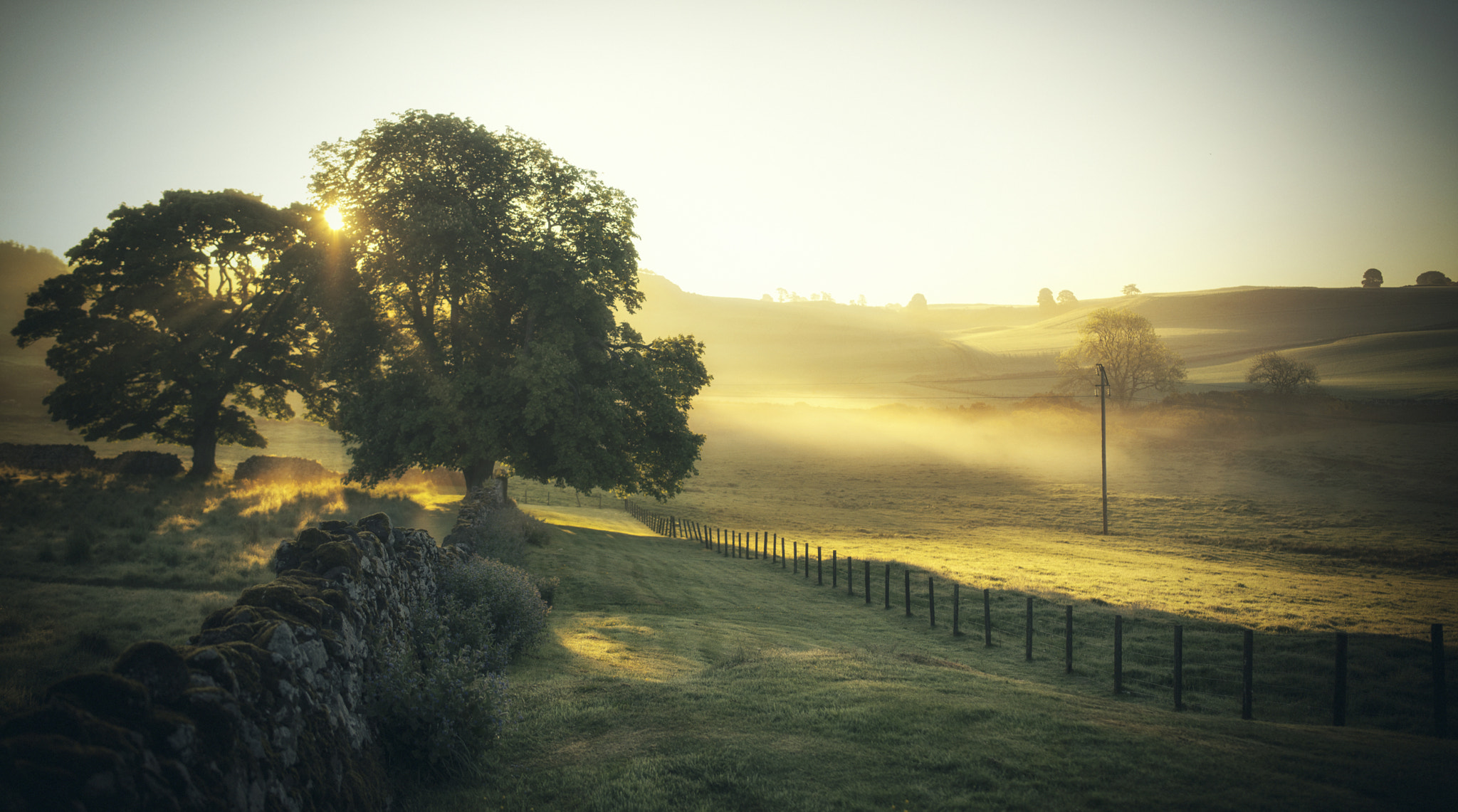 Nikon D600 + Samyang 35mm F1.4 AS UMC sample photo. Misty morning magic photography