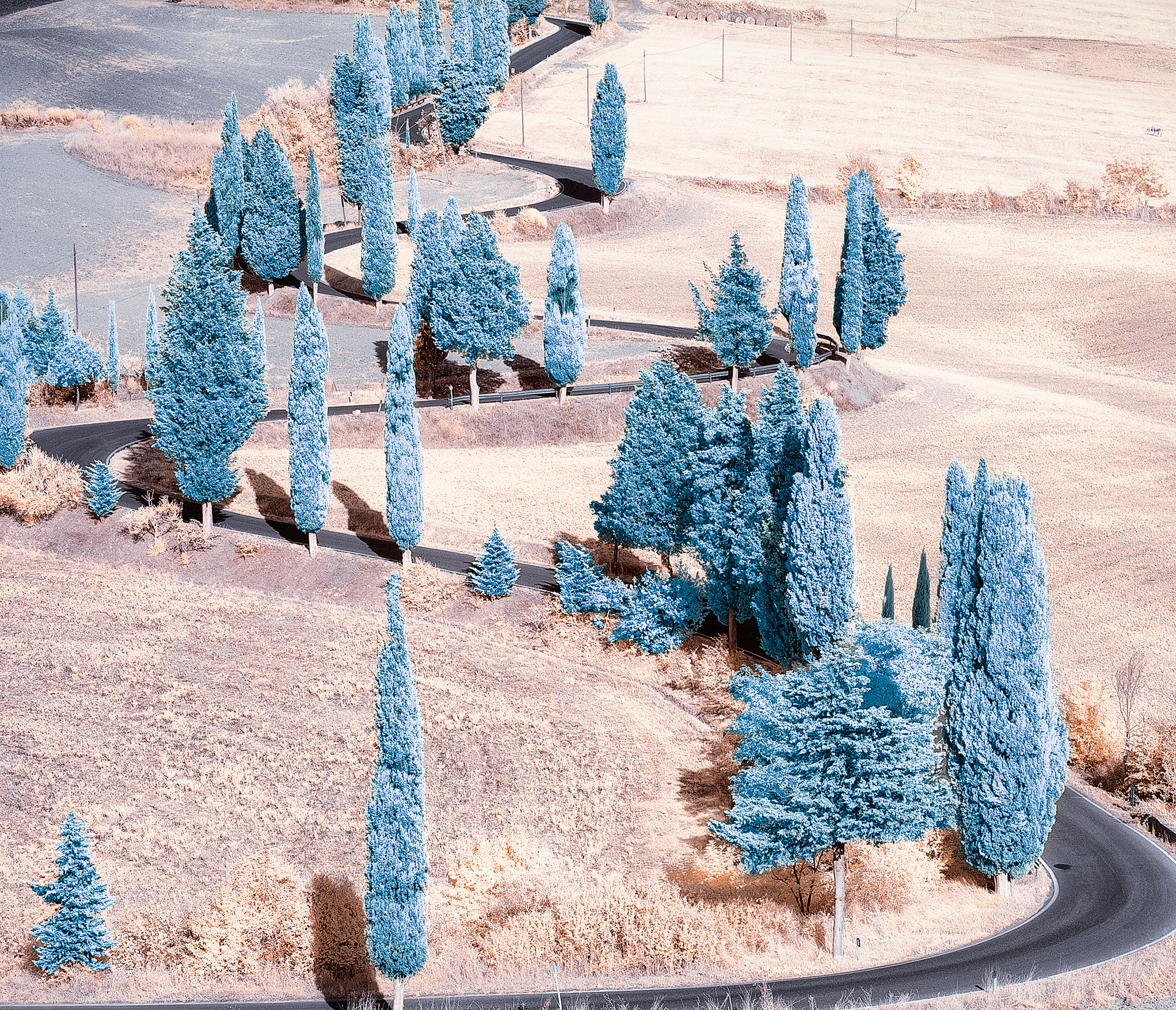 Nikon D70s sample photo. Creative road photography