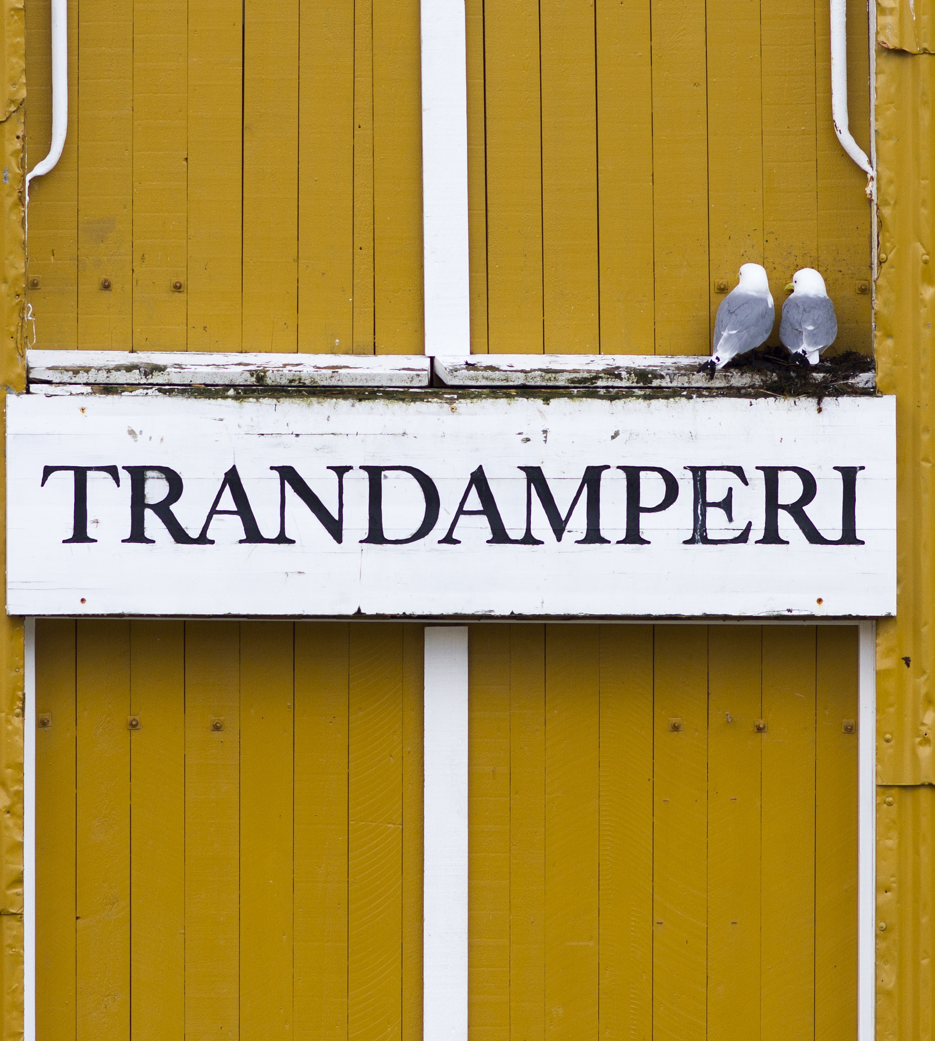 Canon EOS 7D + Canon EF 200mm F2.8L II USM sample photo. Lovebirds - kittiwakes from norway :) photography