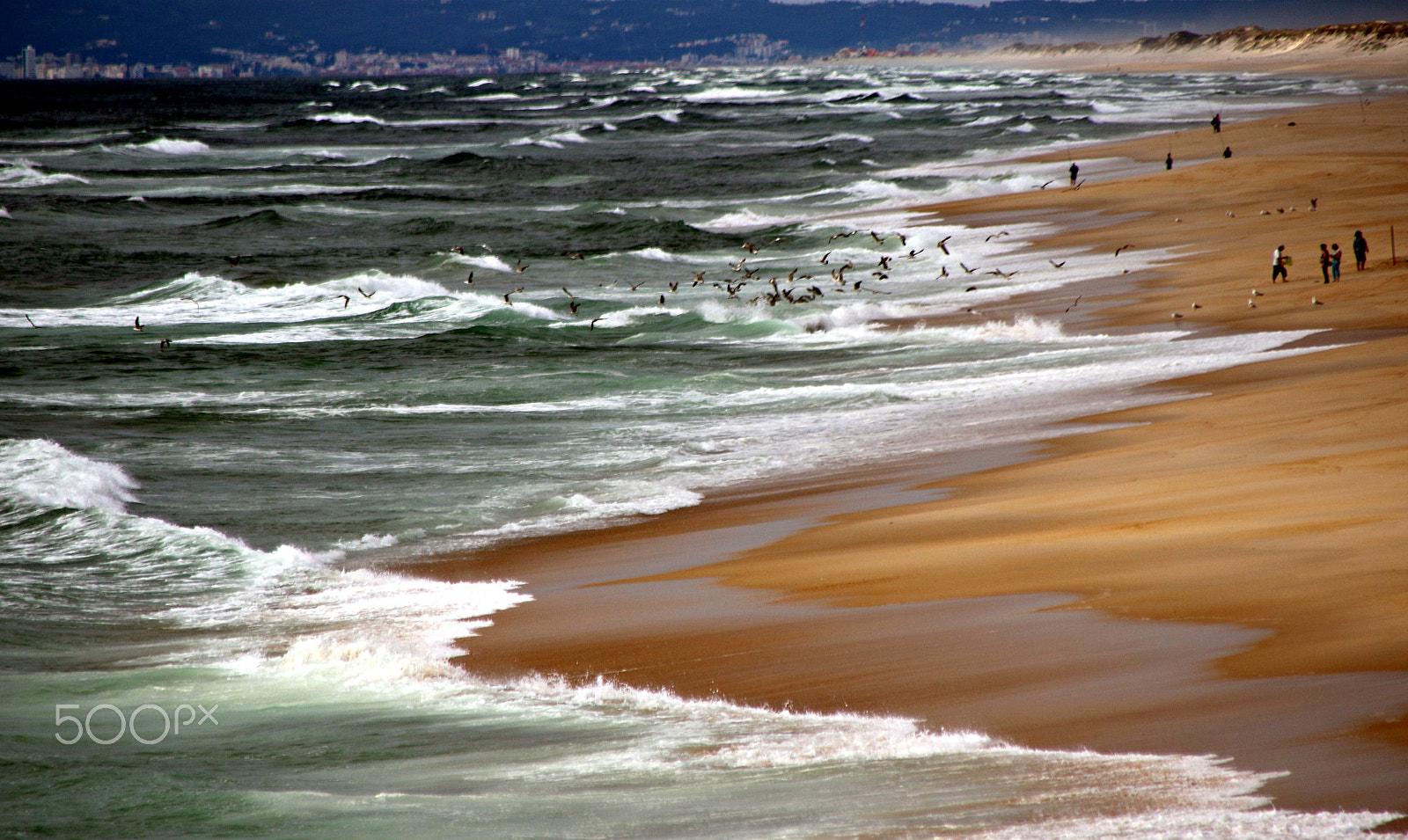 Canon TS-E 90mm F2.8 Tilt-Shift sample photo. Waves photography