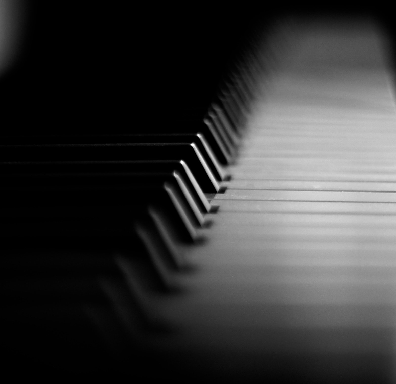 Sony SLT-A57 sample photo. Piano keys photography