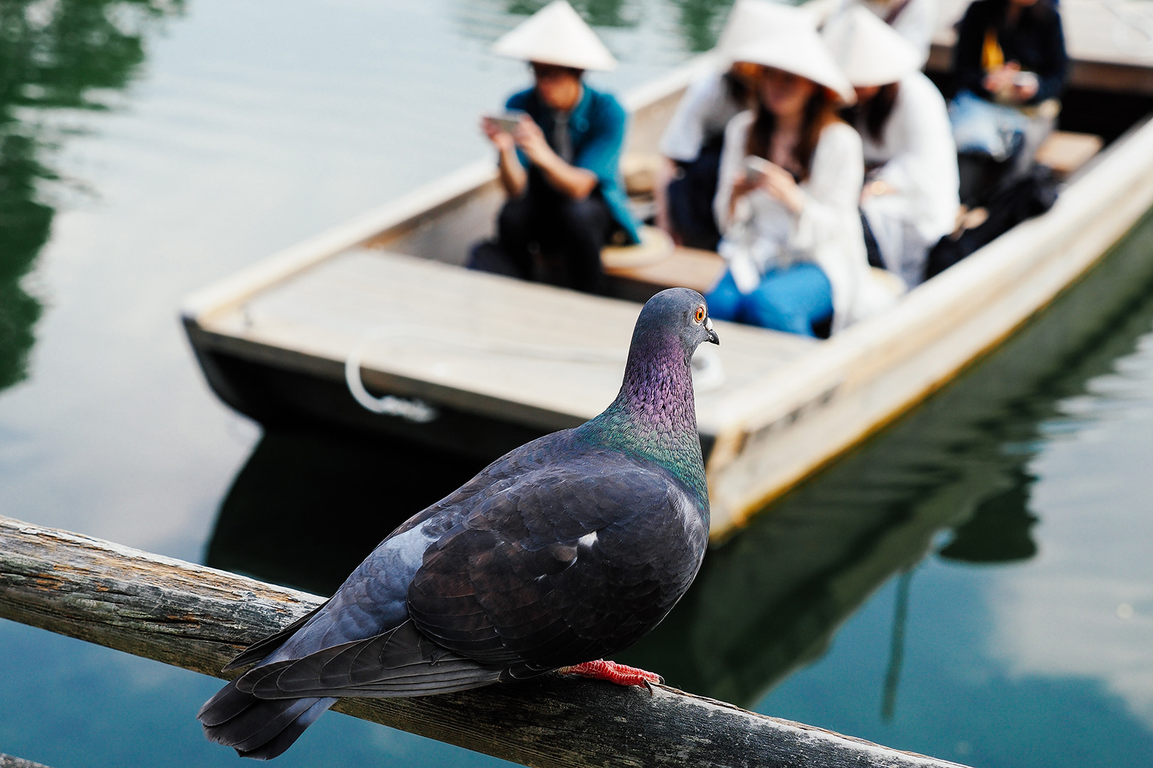 Panasonic Lumix G X Vario 12-35mm F2.8 ASPH Power OIS sample photo. 栗林公园 photography