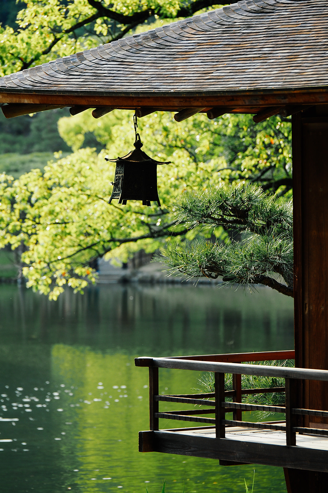 Panasonic Lumix G X Vario 35-100mm F2.8 OIS sample photo. 栗林公园 photography