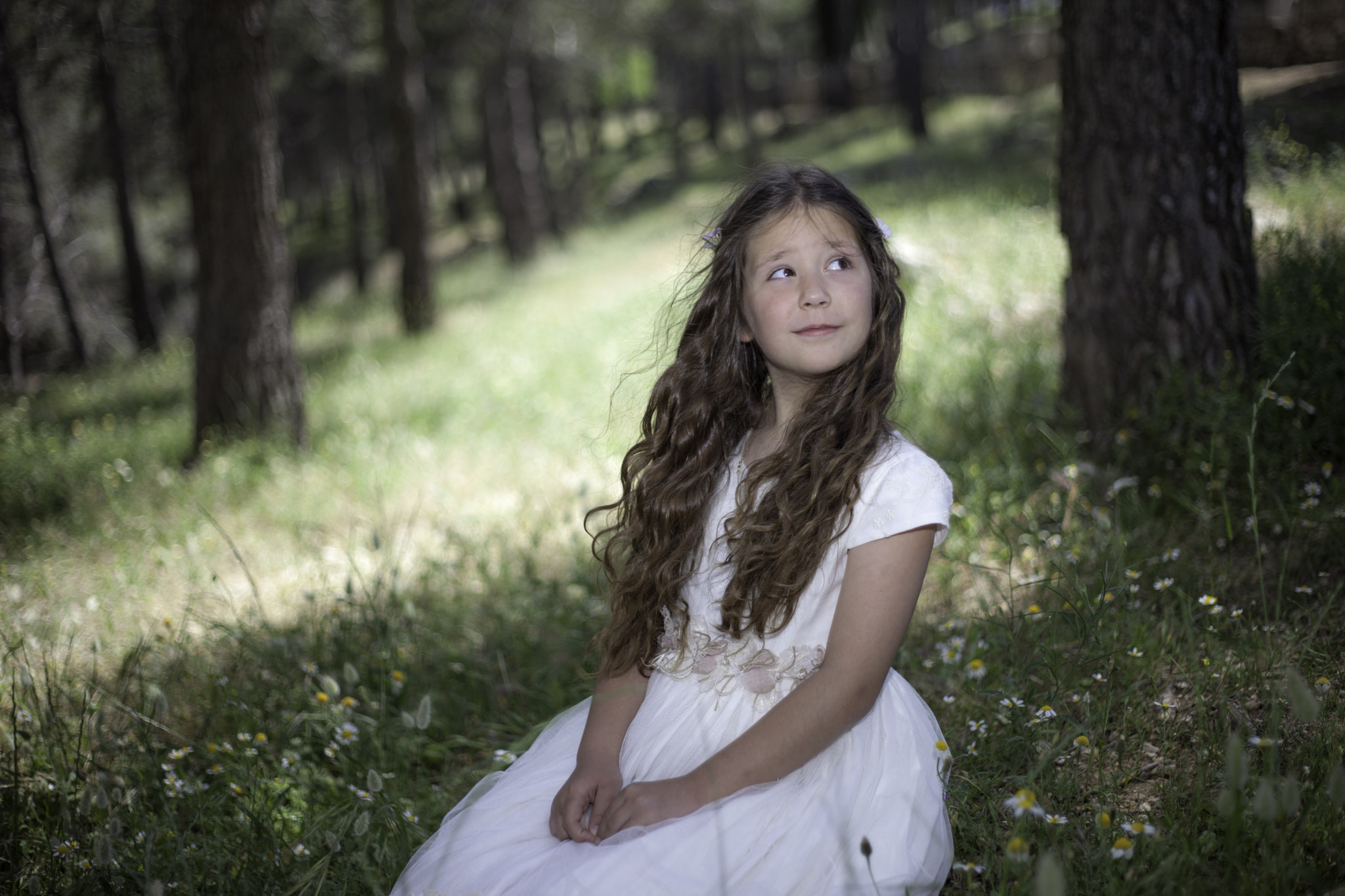 Canon EF 50mm f/1.8 sample photo. Como objeto inteligente copia photography