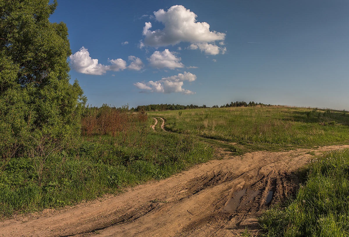 Nikon AF-S Nikkor 28-70mm F2.8 ED-IF sample photo. Развилка photography