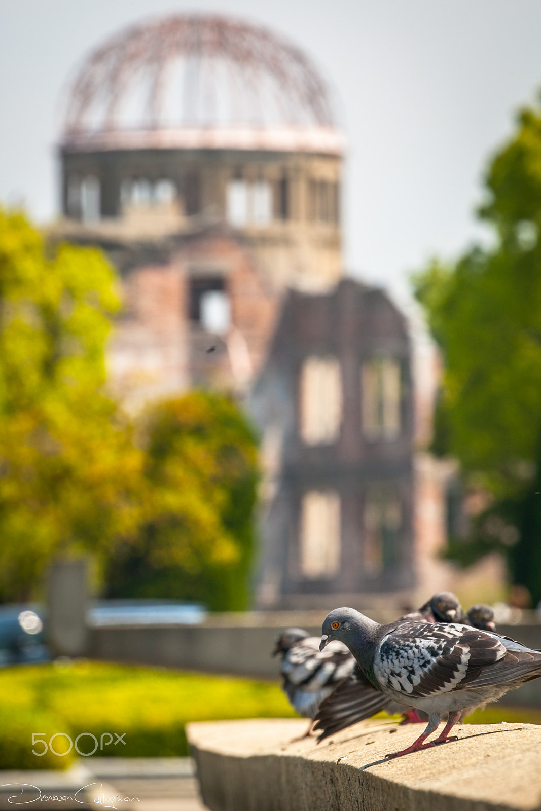 Canon EF 100-400mm F4.5-5.6L IS II USM sample photo. Hiroshima peace memorial with pigeons photography