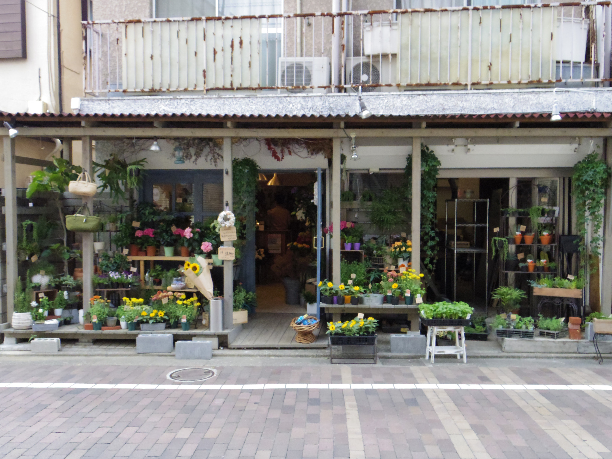 Pentax 02 Standard Zoom sample photo. 花屋 photography