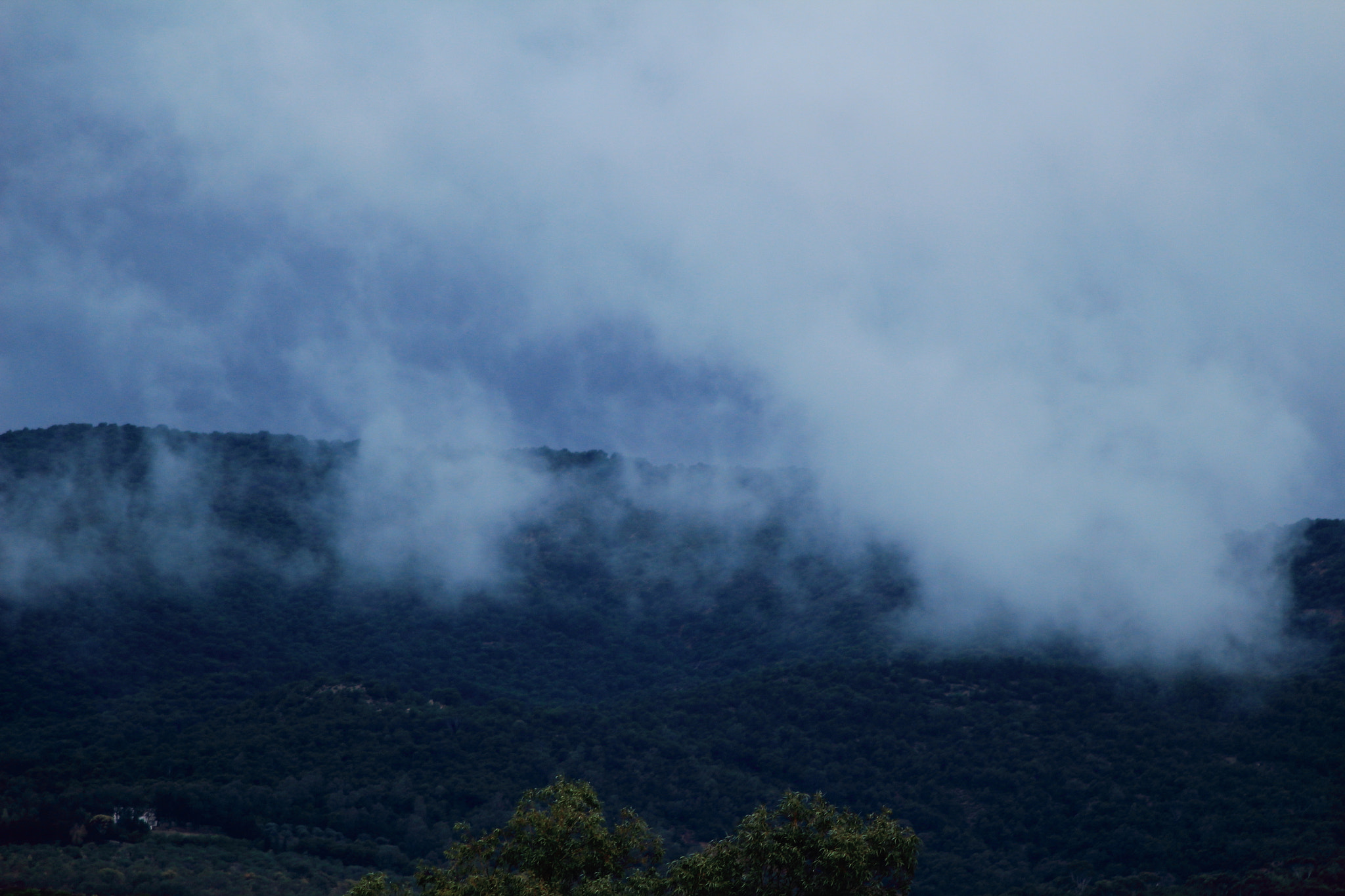 Canon EF 90-300mm F4.5-5.6 sample photo. Raining day photography
