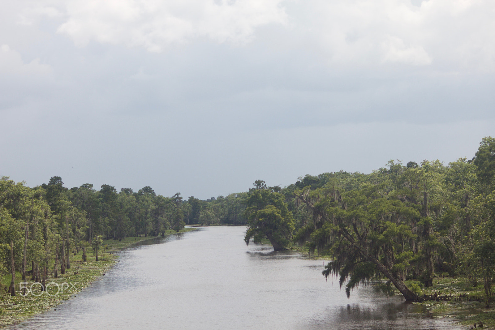 Sigma 70-300mm F4-5.6 APO DG Macro sample photo. Passing over a swampy part of louisiana photography