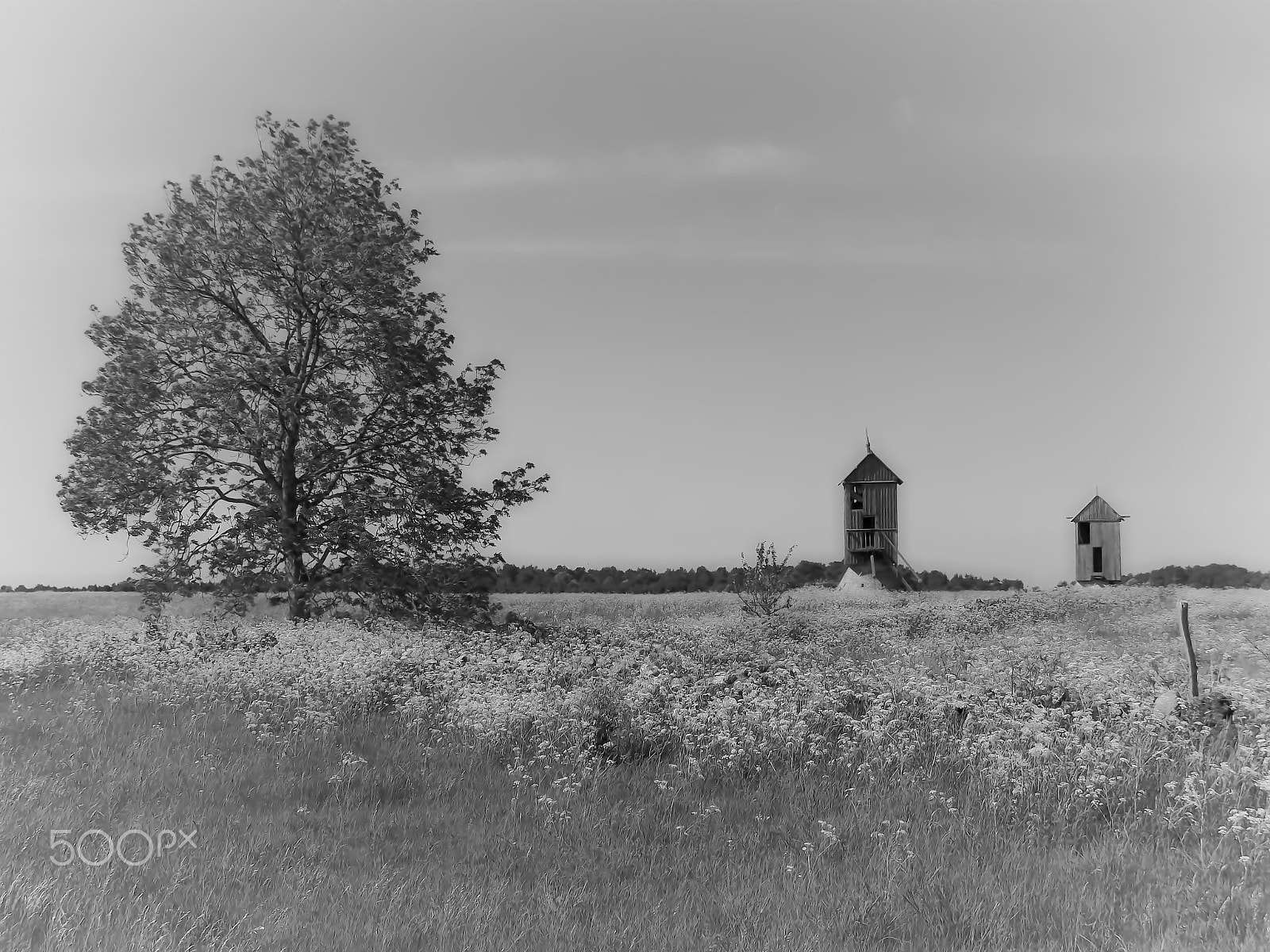 Pentax Optio VS20 sample photo. Old times photography
