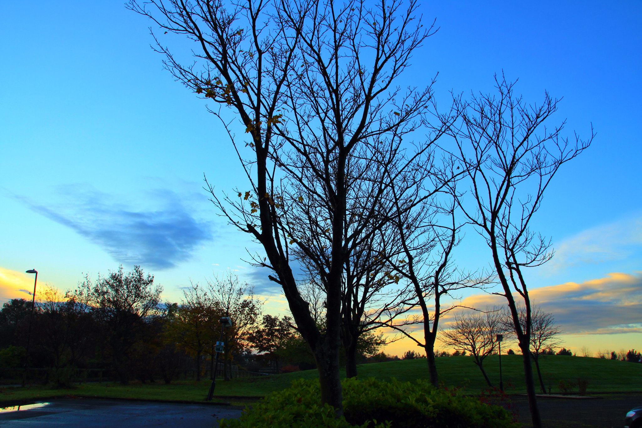 Canon EOS 50D + Canon 18-200mm sample photo. Dawn breaks photography