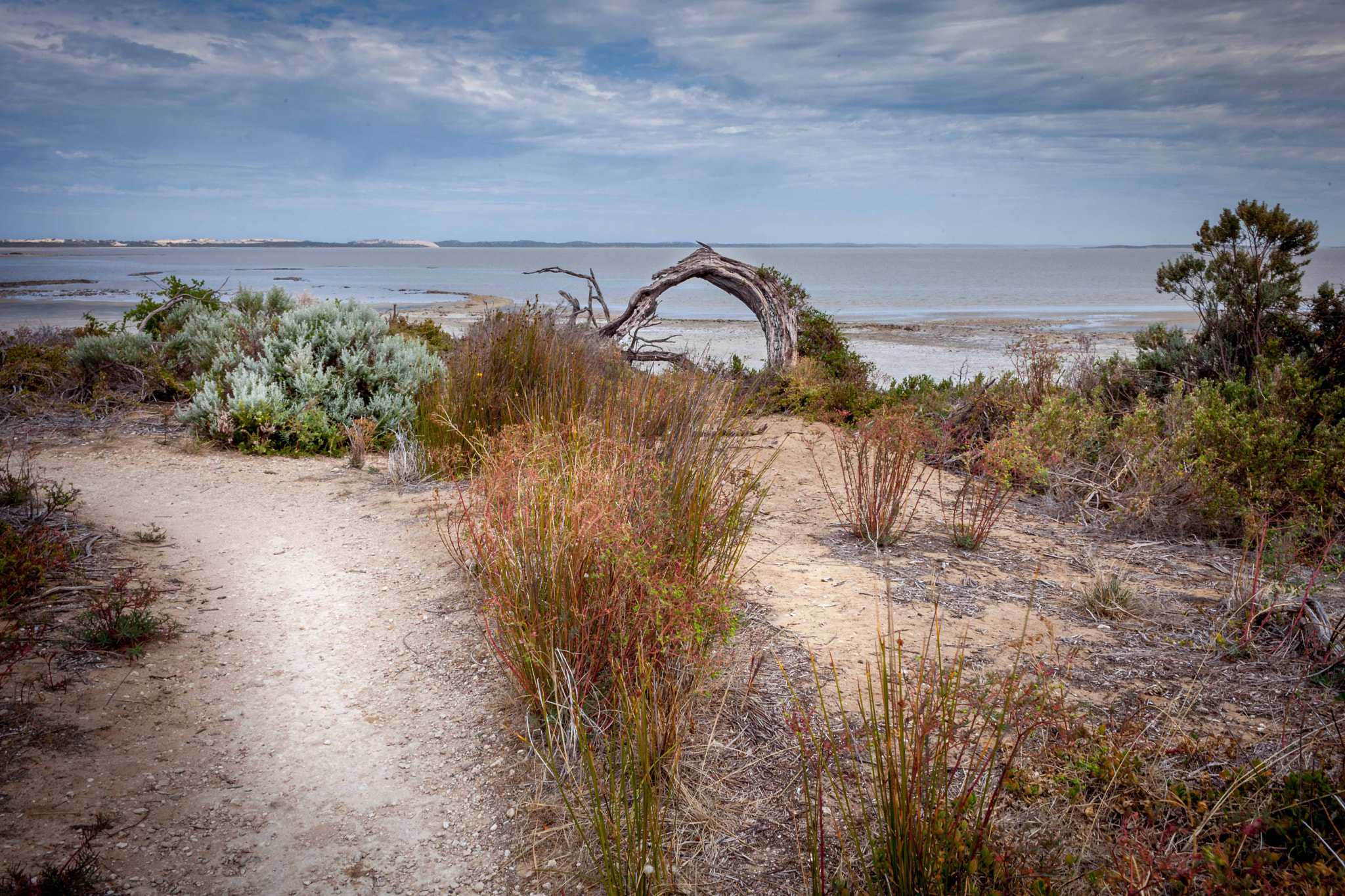 Canon EF 28-90mm f/4-5.6 sample photo. Salt creek photography