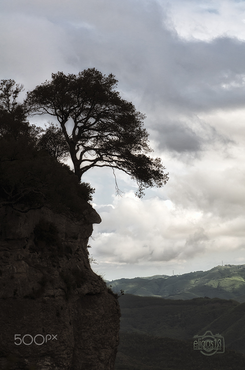 Nikon D300S sample photo. Les planes photography