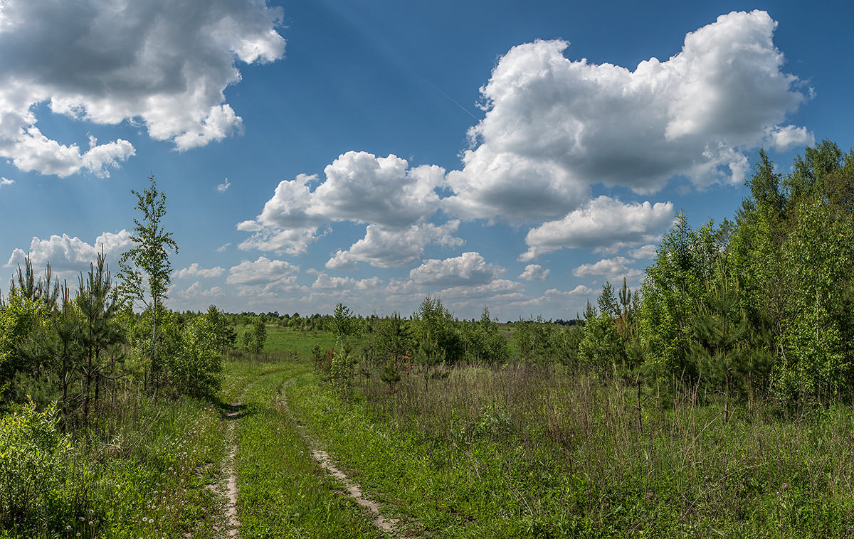 Nikon AF-S Nikkor 28-70mm F2.8 ED-IF sample photo. Пейзаж с облаками photography