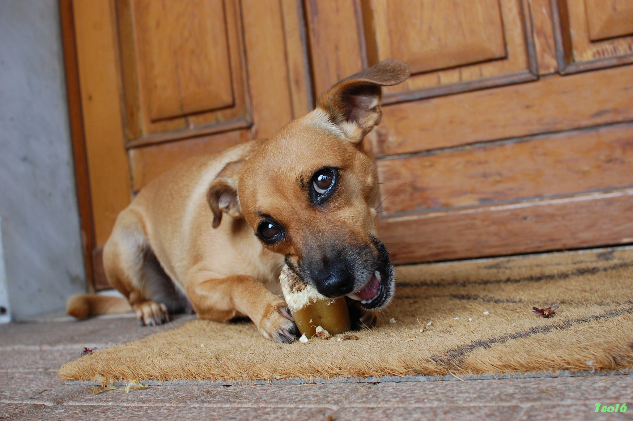 Nikon D40 + Sigma 30mm F1.4 EX DC HSM sample photo. Che fame!! photography