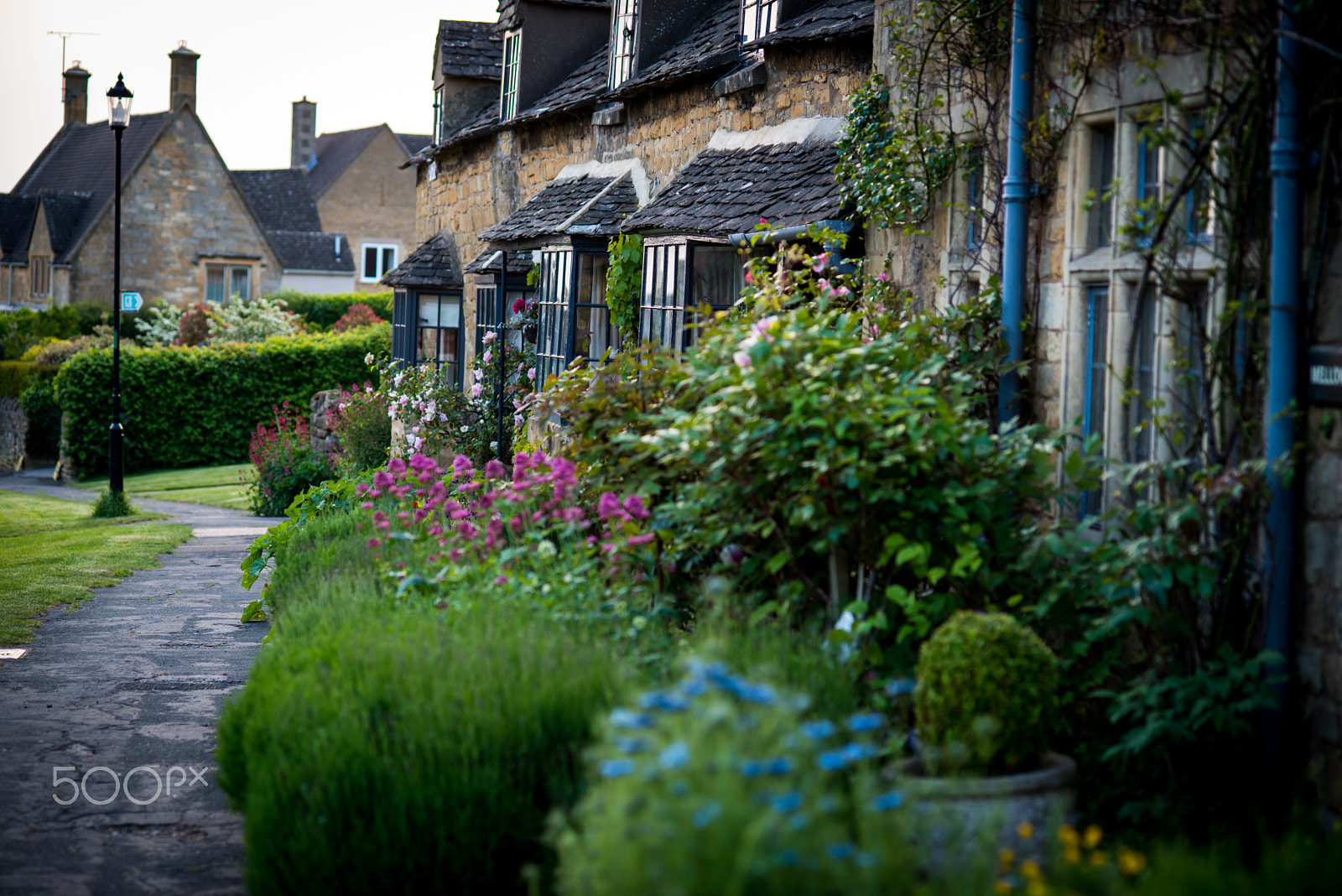 Nikon D800 + AF Nikkor 85mm f/1.8 sample photo. Cotswold evening photography