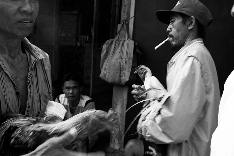 Canon EF 24mm F2.8 sample photo. Bird market photography