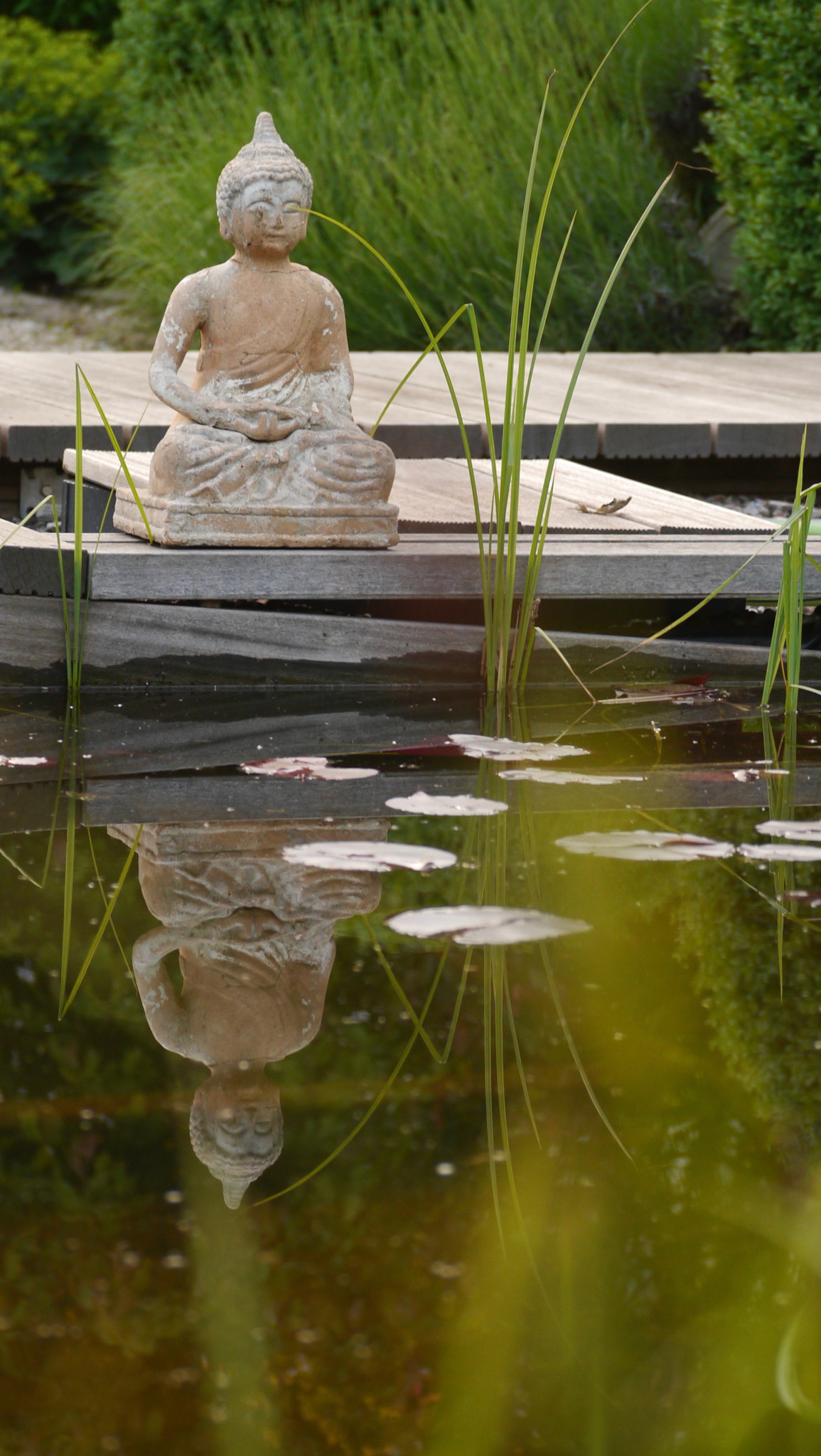 Panasonic Lumix G Vario 45-200mm F4-5.6 OIS sample photo. Buddha pond photography