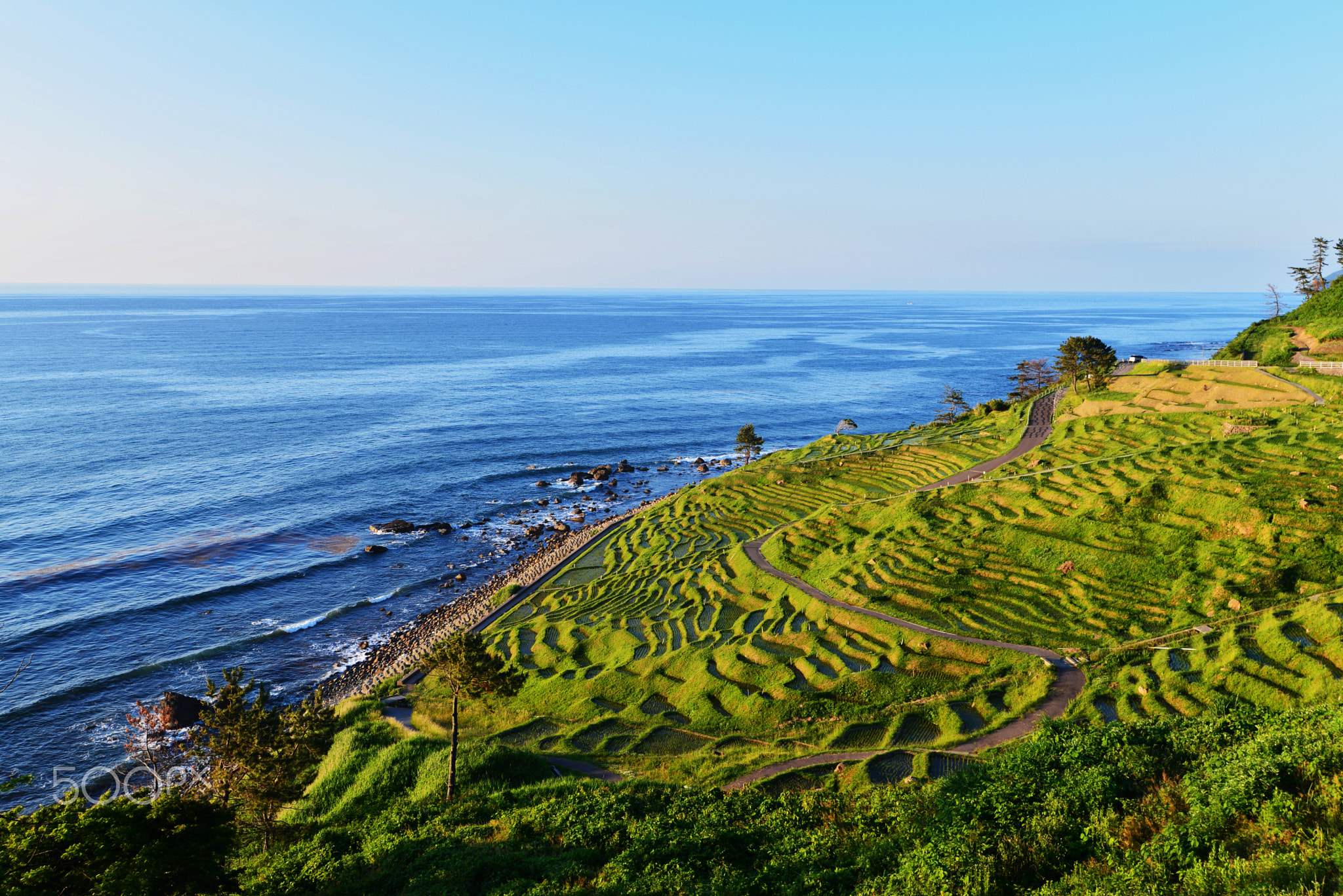 Rice Terraces and the Sea