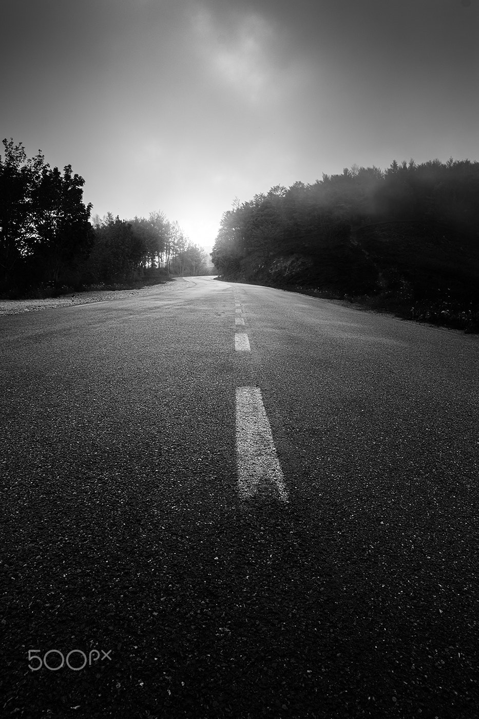 Samyang 14mm F2.8 ED AS IF UMC sample photo. Road to lago della ninfa photography