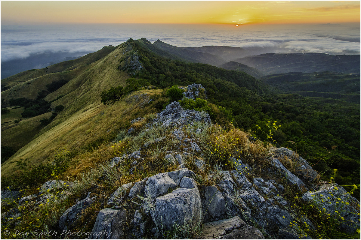 Sony a7R II + Canon EF 11-24mm F4L USM sample photo. Susnet from fremont peak photography