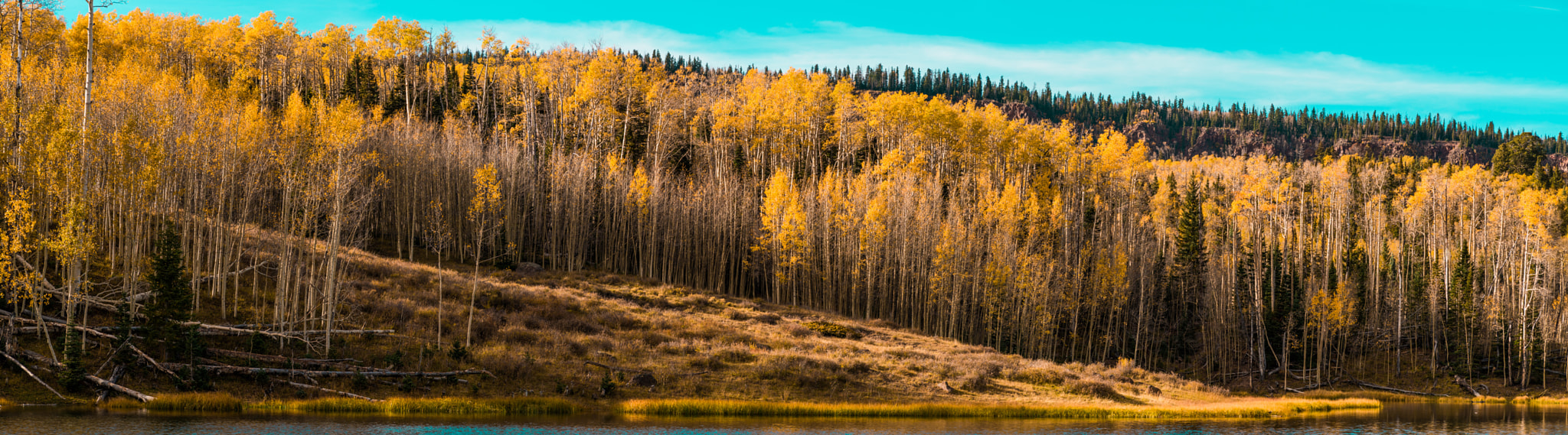 Sony a7R II + Sony FE PZ 28-135mm F4 G OSS sample photo. To the water's edge photography