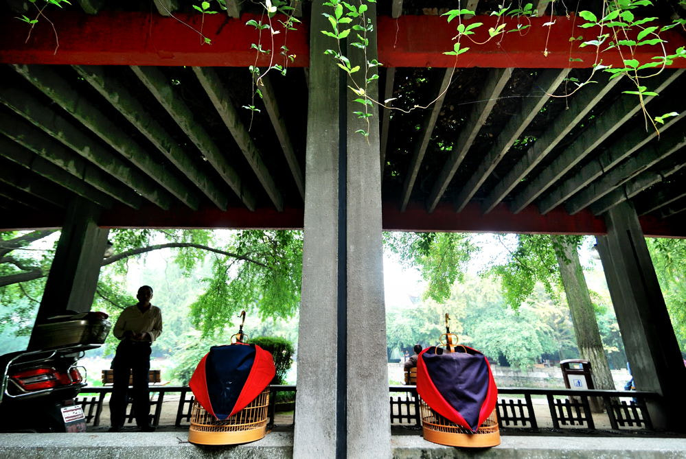 Nikon D80 sample photo. 【vd视觉记忆】【2012.09.29】百年华西 photography