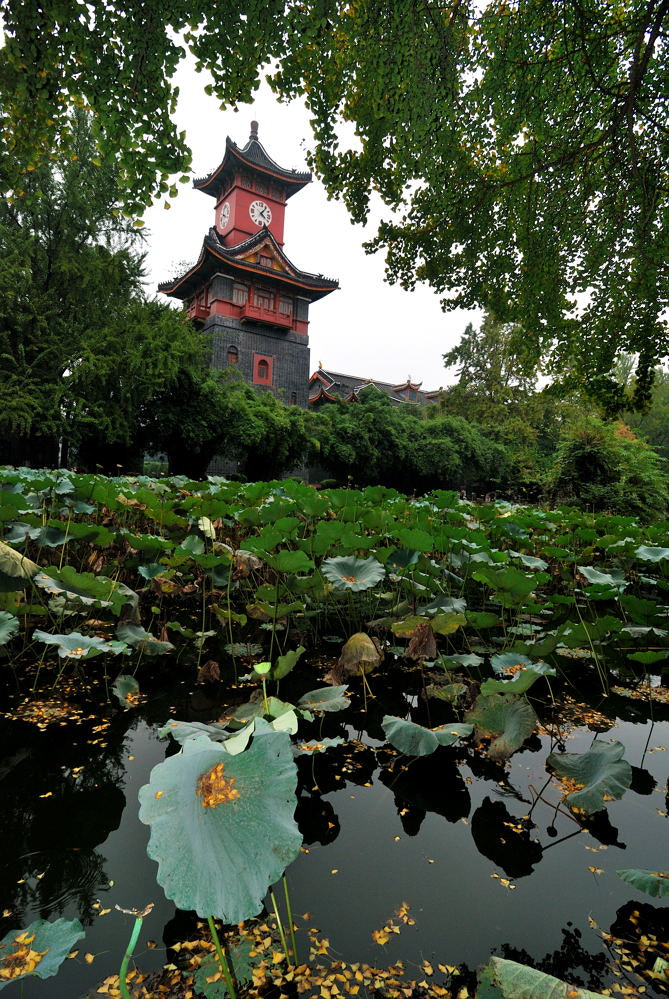 Nikon D80 sample photo. 【vd视觉记忆】【2012.09.29】百年华西 photography