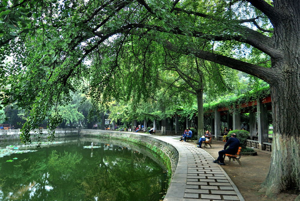 Nikon D80 sample photo. 【vd视觉记忆】【2012.09.29】百年华西 photography