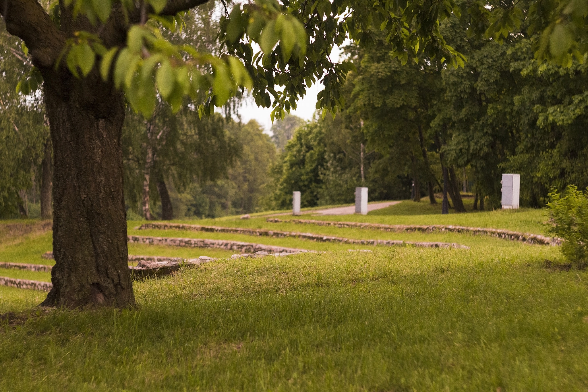 Canon EF 35-80mm f/4-5.6 sample photo. Summer evening photography