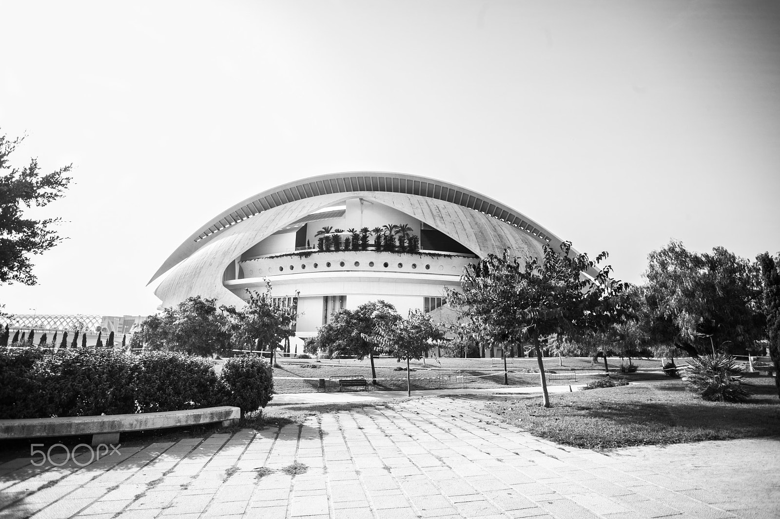 Canon EOS-1Ds + Canon EF 17-40mm F4L USM sample photo. Calatrava in black and white photography