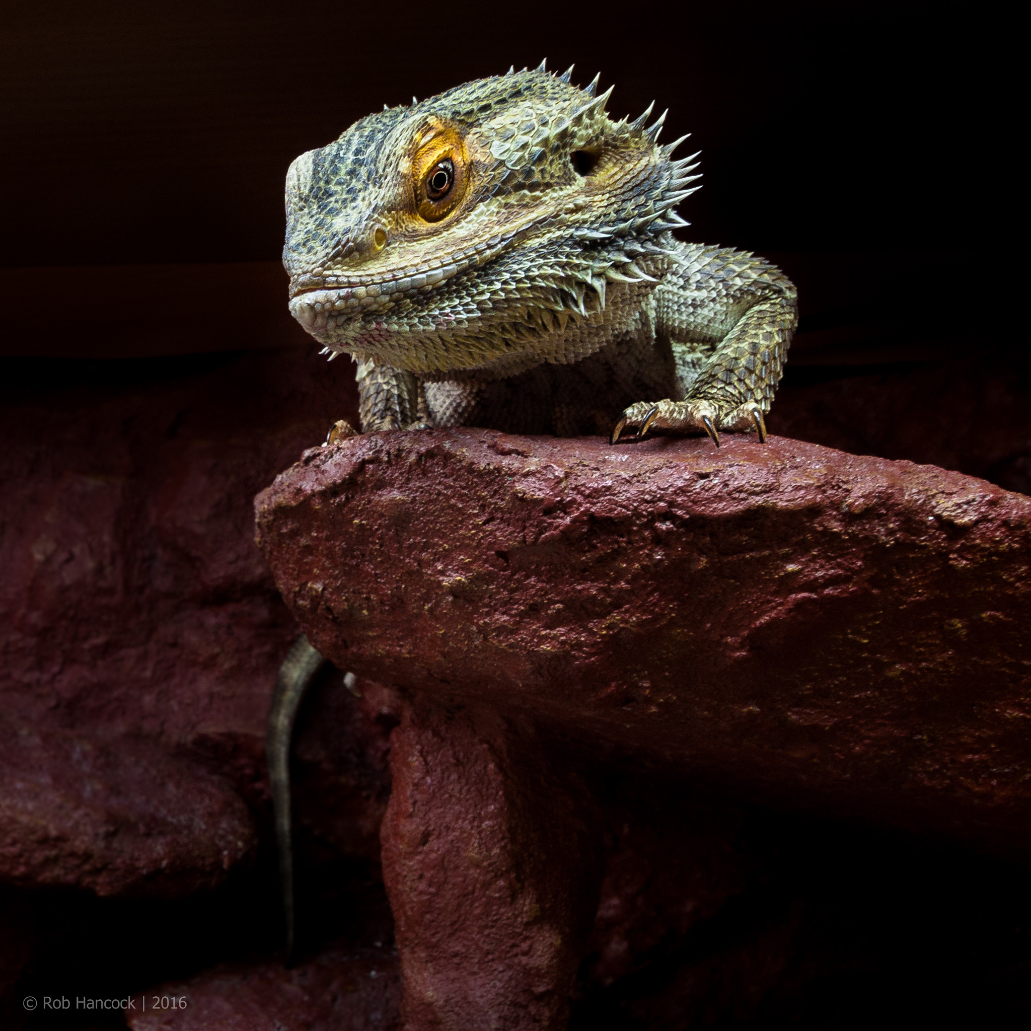Canon EF-S 10-18mm F4.5–5.6 IS STM sample photo. Horace photography