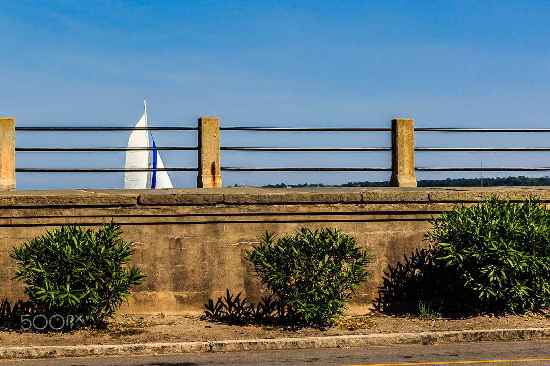 Canon EF 40mm F2.8 STM sample photo. Charleston photography
