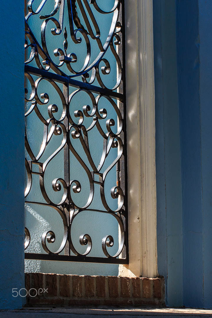 Canon EF 40mm F2.8 STM sample photo. Charleston photography