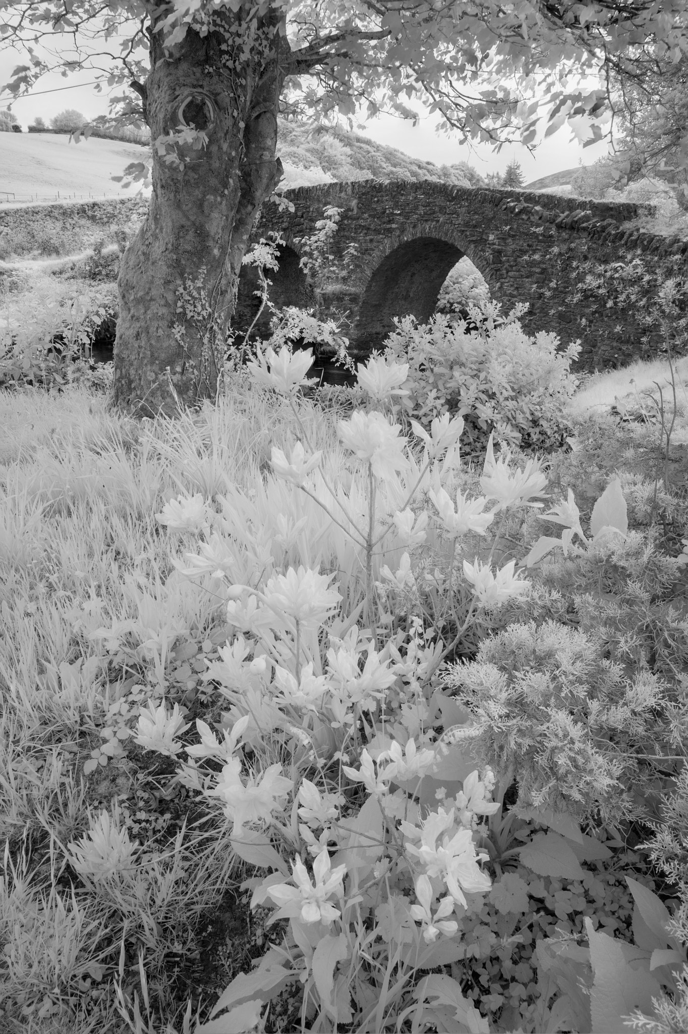 Nikon AF-S Nikkor 18-35mm F3.5-4.5G ED sample photo. Stunning black and white infrared landscape image of old bridge photography