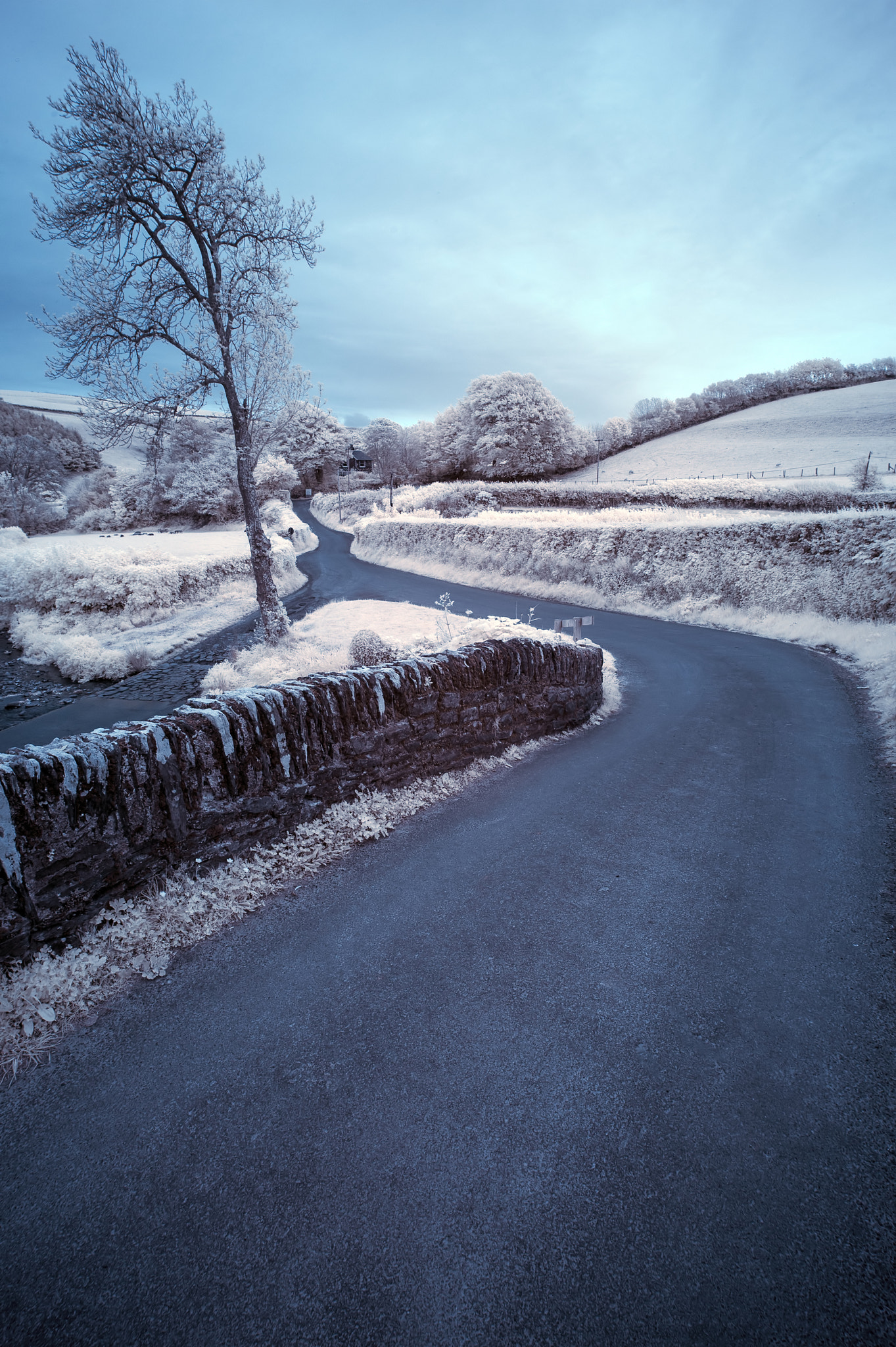 Nikon AF-S Nikkor 18-35mm F3.5-4.5G ED sample photo. Beautiful surreal color infra red landscape image of road windin photography