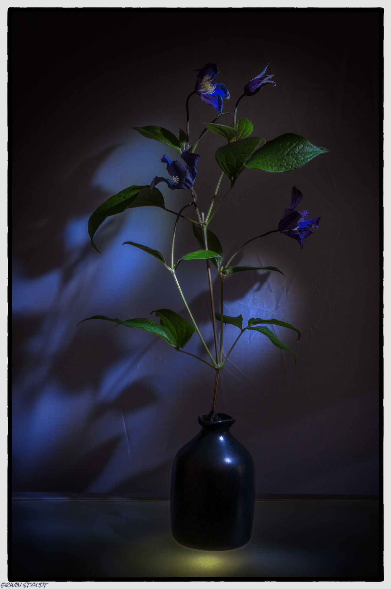 Pentax K-x + Pentax smc DA 50mm F1.8 sample photo. Clematis photography