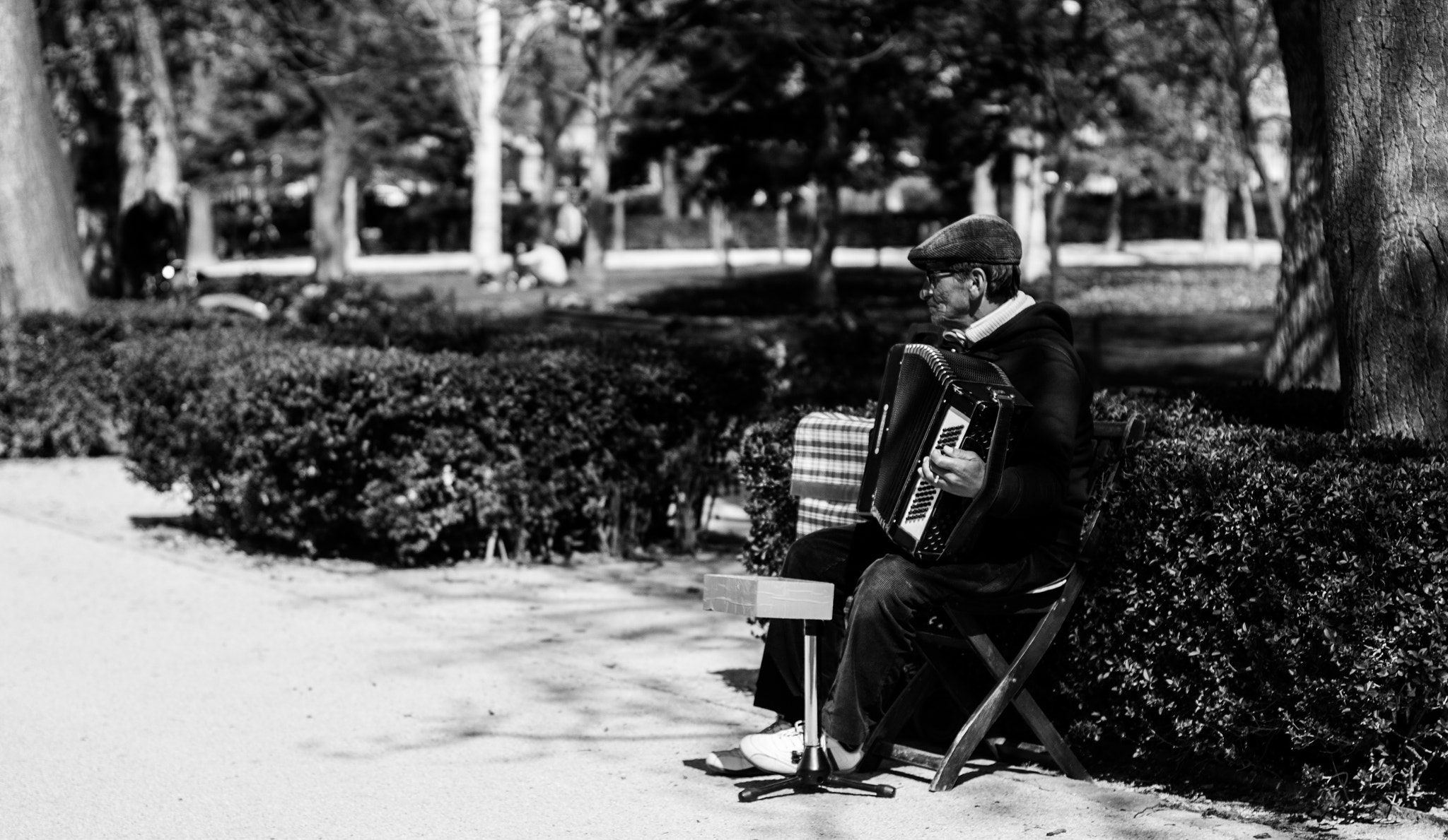 Canon EOS 100D (EOS Rebel SL1 / EOS Kiss X7) + Canon EF 50mm F1.4 USM sample photo. Acordeonista photography