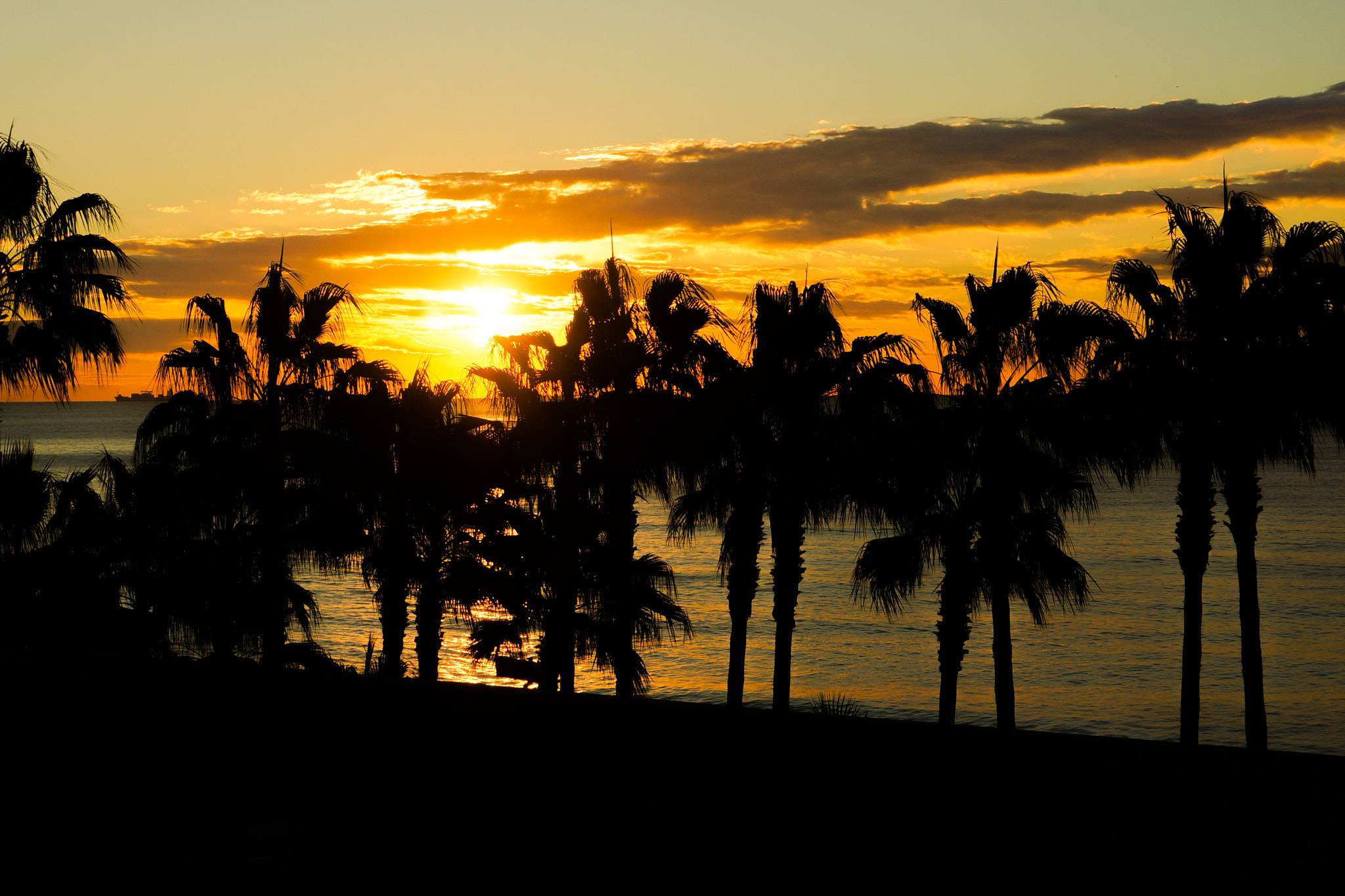 Sony Alpha NEX-6 + Sony E 35mm F1.8 OSS sample photo. Dawn: the sign of the new oppurtunities photography