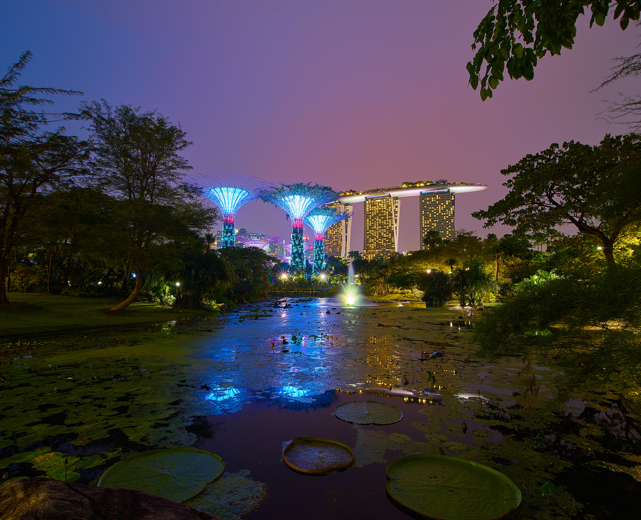 16-28mm F2.8 sample photo. Gardens by the bay nightscape photography