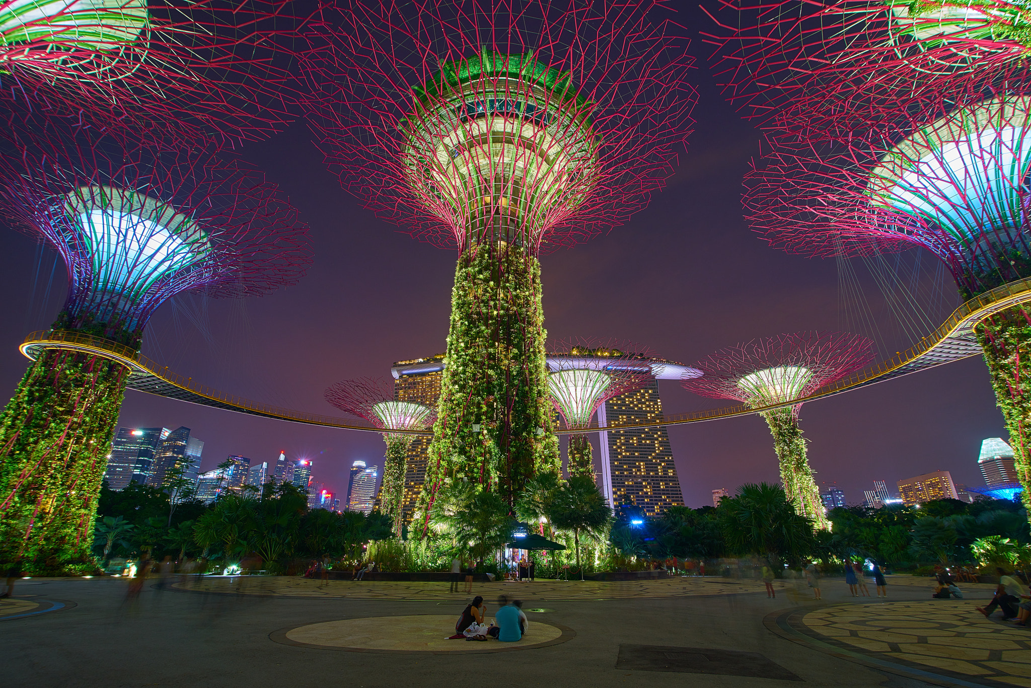 Sony a7R + 16-28mm F2.8 sample photo. Super trees photography