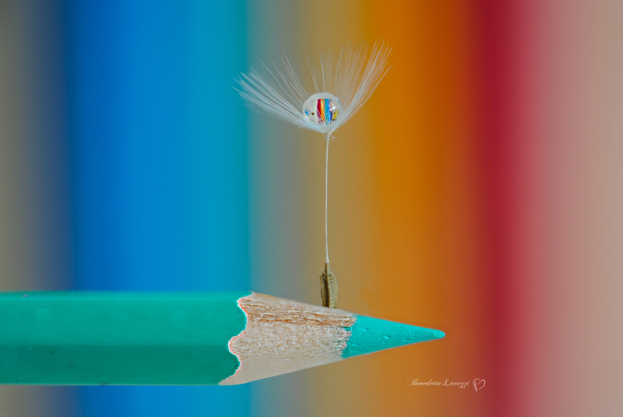 Sigma 105mm F2.8 EX DG OS HSM sample photo. Rainbow photography
