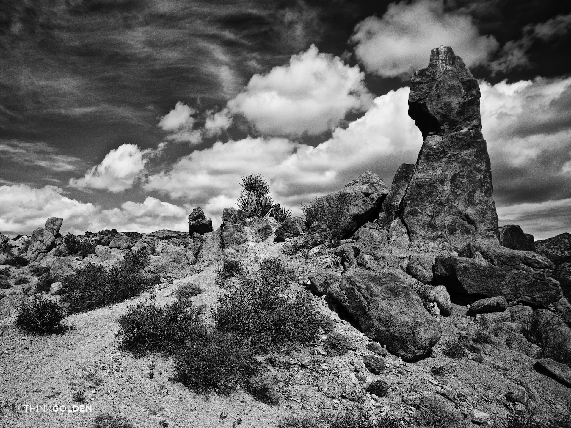 Tamron AF 19-35mm f/3.5-4.5 sample photo. Joshua tree photography