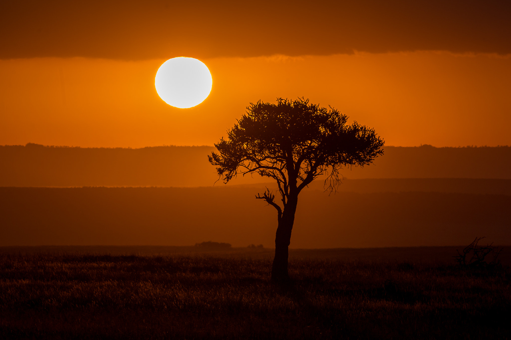 Canon EOS 6D + Canon EF 400mm F5.6L USM sample photo. Sunrise photography