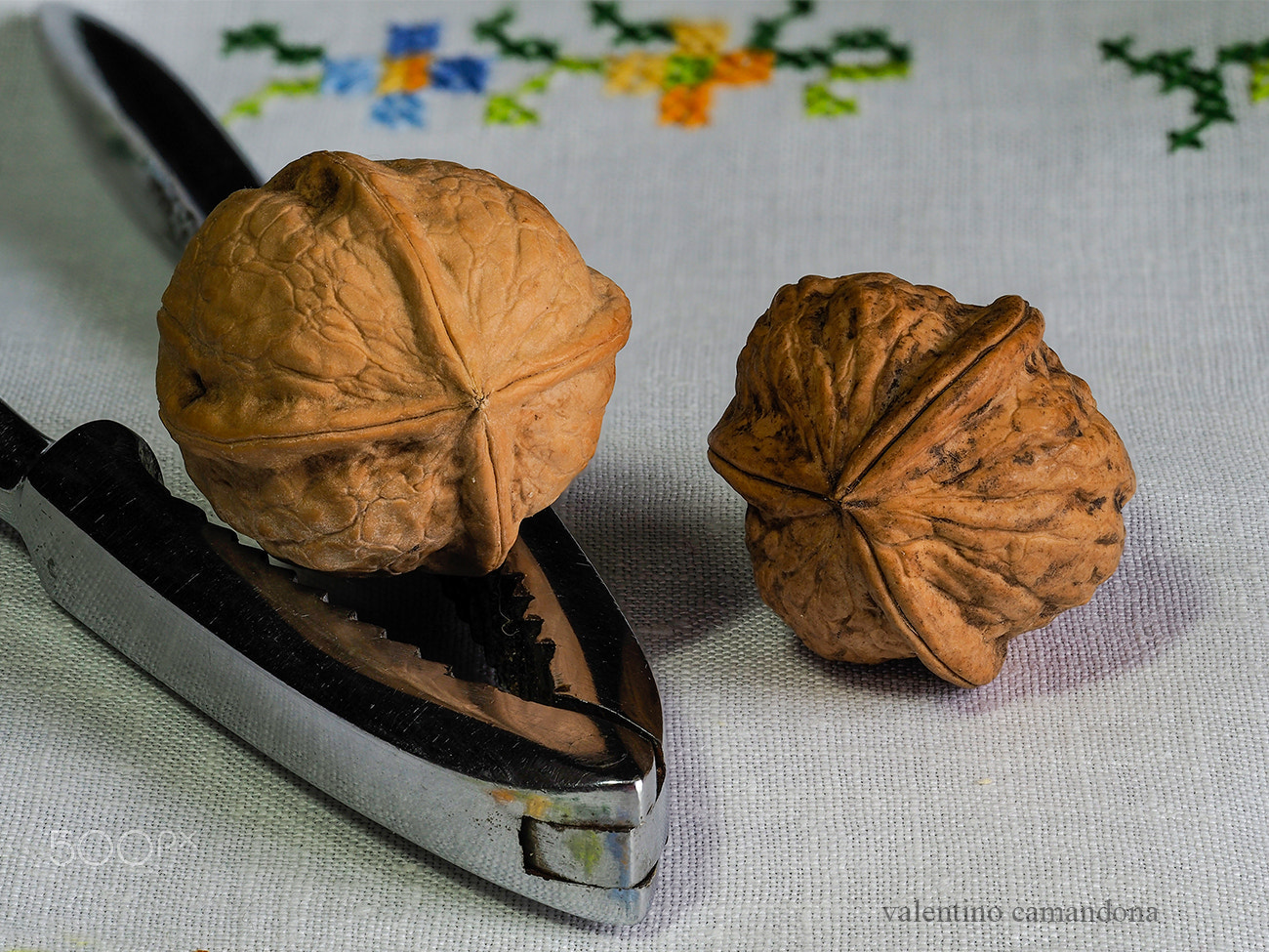 Olympus M.Zuiko Digital ED 60mm F2.8 Macro sample photo. Those walnuts won't be eaten photography