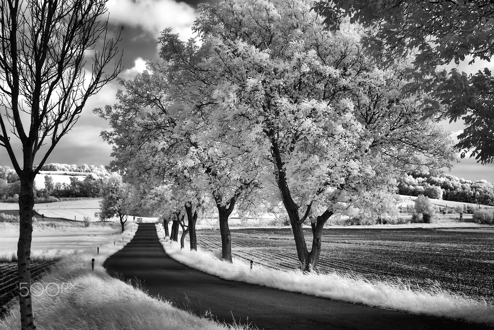 Nikon D80 + Sigma 24-70mm F2.8 EX DG Macro sample photo. Black road photography