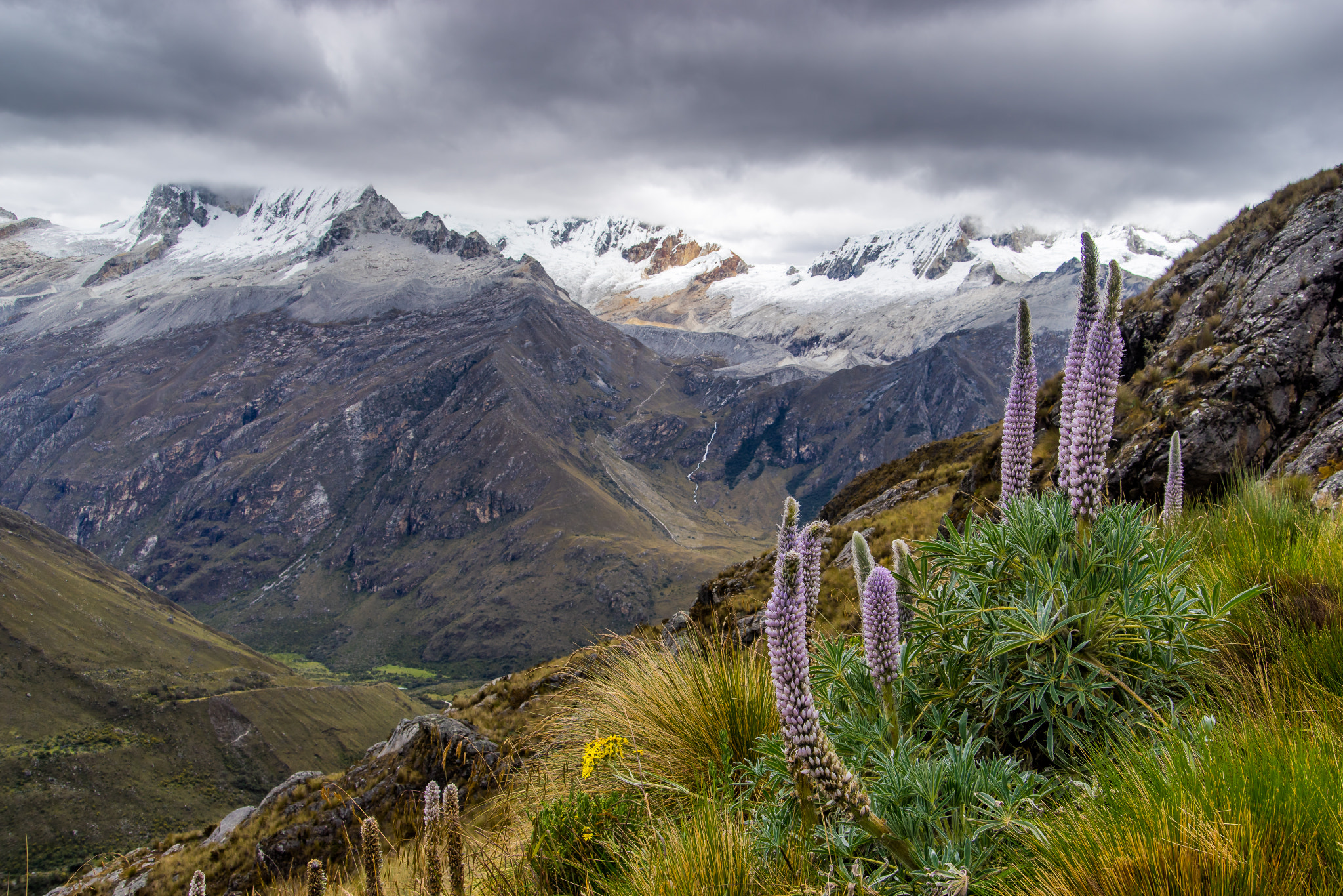 Sony a7 II + Tamron SP 24-70mm F2.8 Di VC USD sample photo. Andean landscapes photography