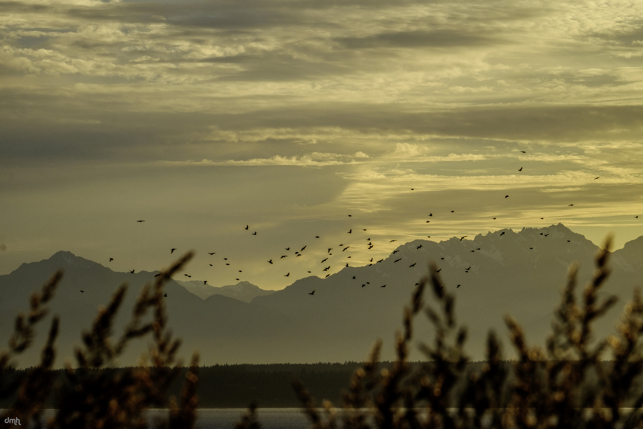 Fujifilm XF 100-400mm F4.5-5.6 R LM OIS WR sample photo. Fly away photography
